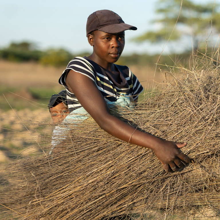 Give Until All Are Fed