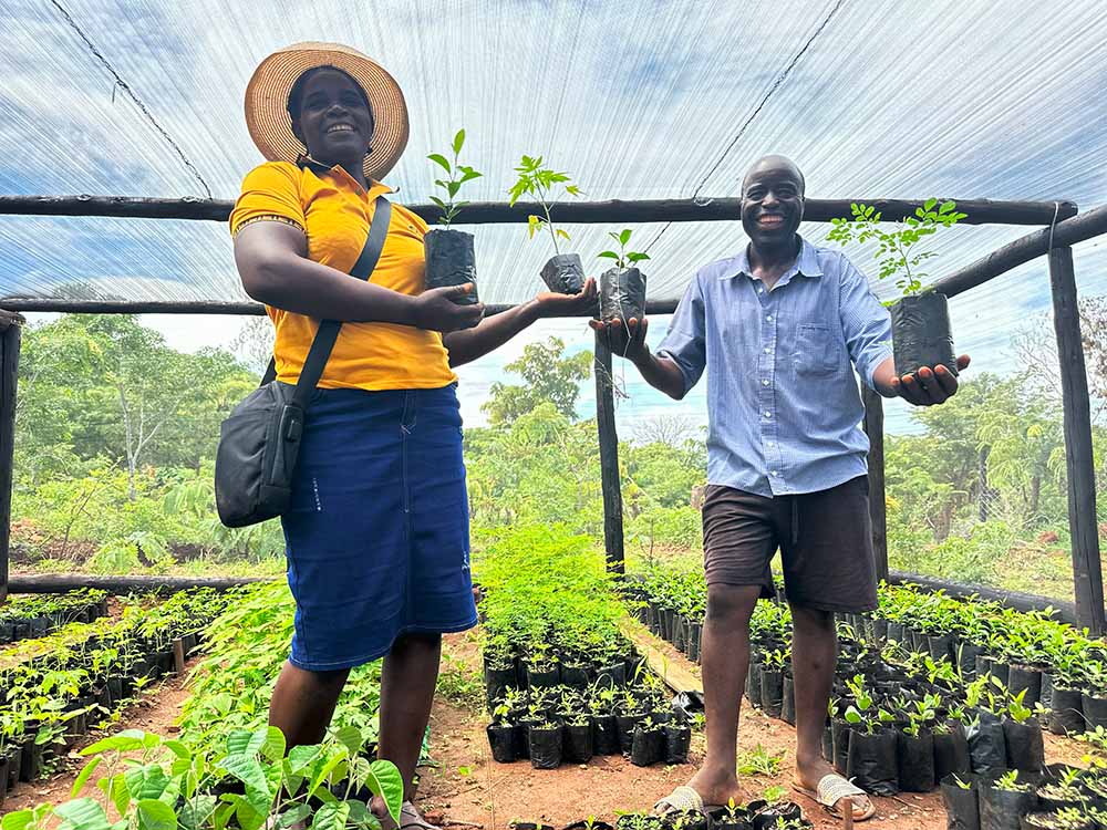 Nature+ lead farmers Ms Chipo Mukute and Mr John Makaya from Tagarirwa Village displaying some of the tree seedling which have been established at their Majuwerere Nursery Group. The group is making great strides in establishing nurseries as part of the nature based solutions to respond to the climate change.