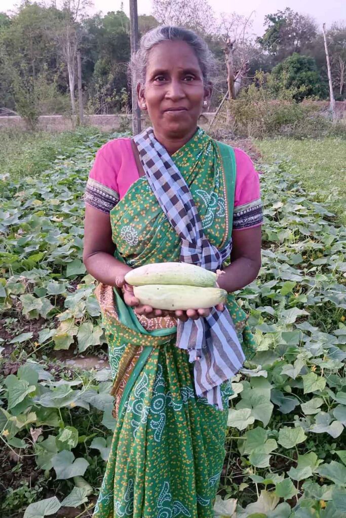 Christina Xess shows cucumbers she is harvesting from her vegetable garden to MCC visitors at her home in Sakambahal village where MCC funds a project through its account at Canadian Foodgrains Bank to improve food and nutrition security in Indigenous communities. She is a beneficiary of the project implemented by MCC's local partner DISHA. She uses organic fertilizer on her crops.